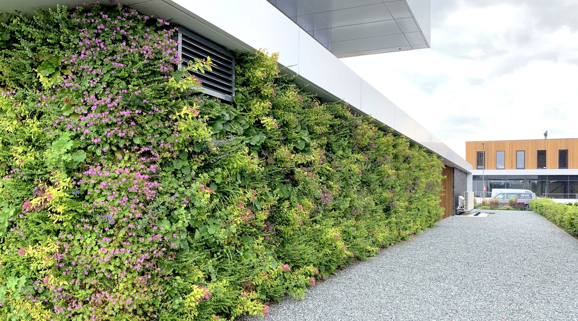 mur végétal extérieur sur façade de bâtiment au Luxembourg