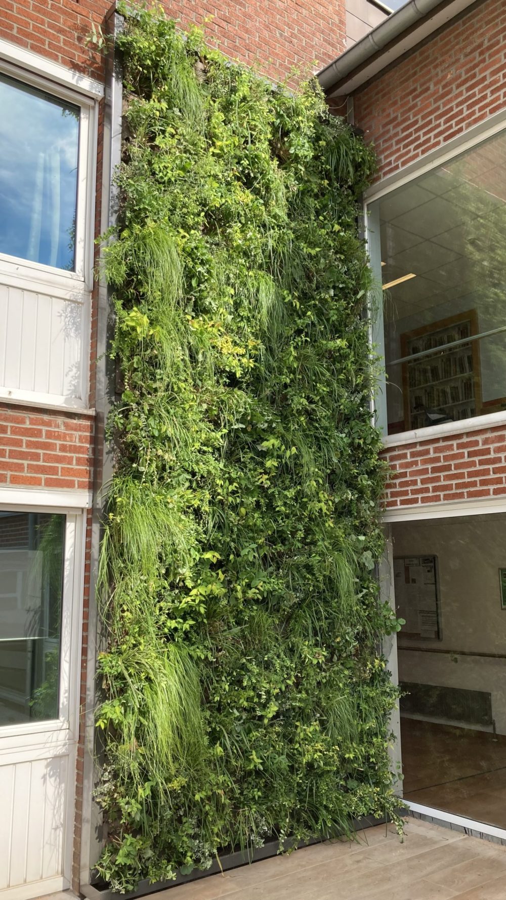 mur végétal extérieur sur façade de bâtiment résidentiel à Namur
