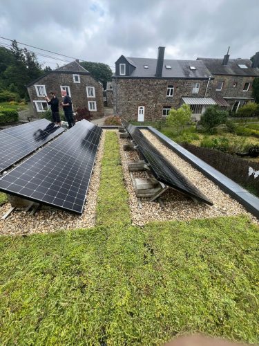 Toiture verte extensive